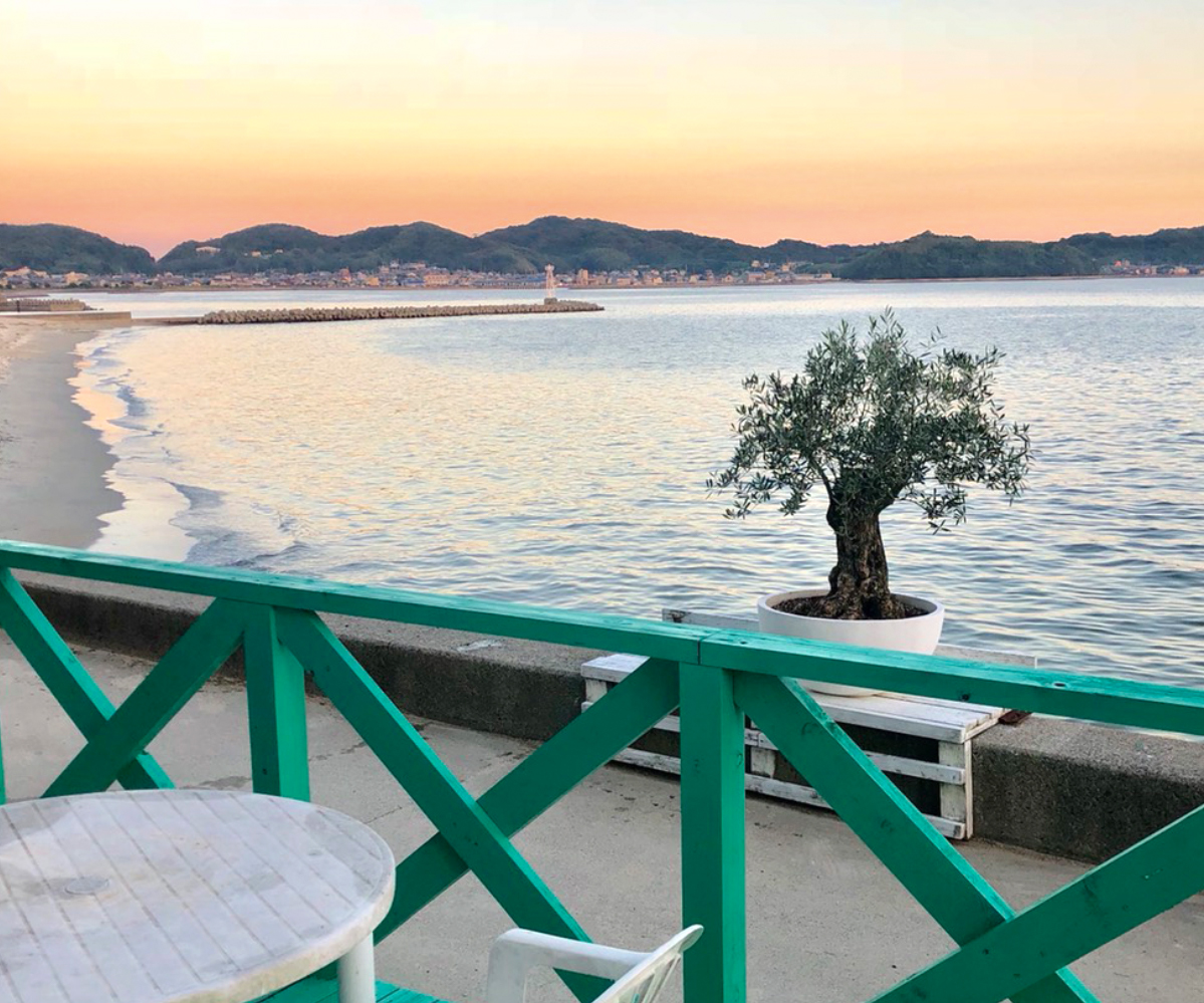 Olives For Life 暮らしにオリーブを