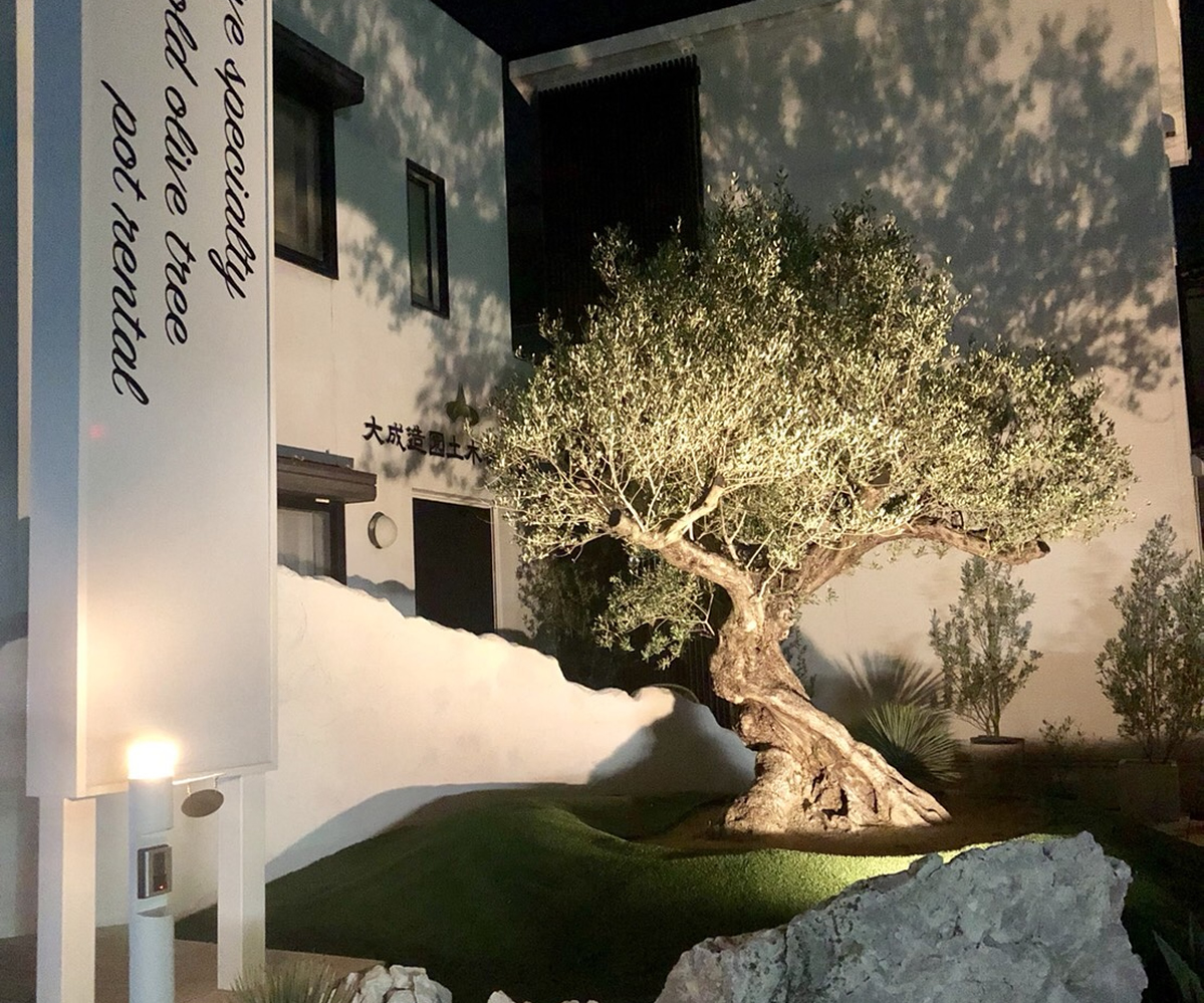 Olives For Life 暮らしにオリーブを