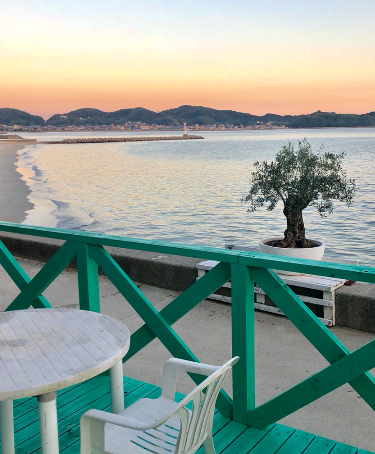 Olives For Life 暮らしにオリーブを