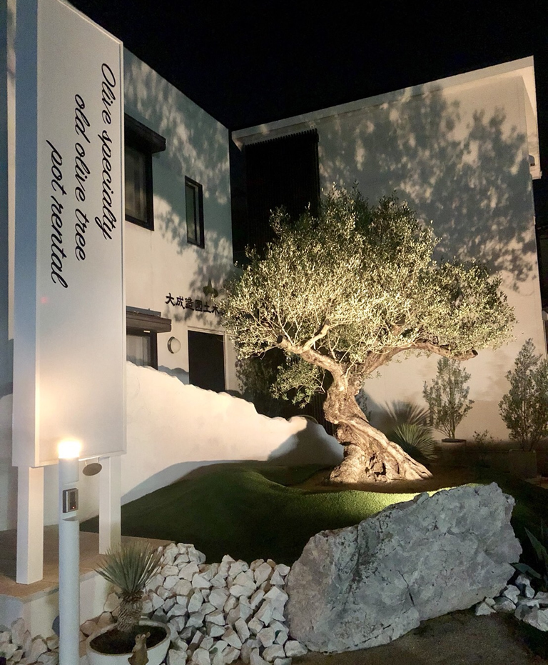 Olives For Life 暮らしにオリーブを