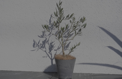 オンラインショップ