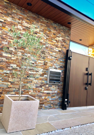 オリーブポット 